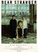 Дорогой незнакомец