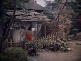Samurai II: Duel at Ichijoji Temple