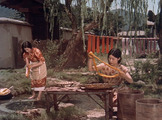 New Tales of the Taira Clan