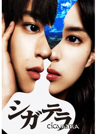 дорама Сигуатера (Ciguatera: シガテラ) 03.10.25