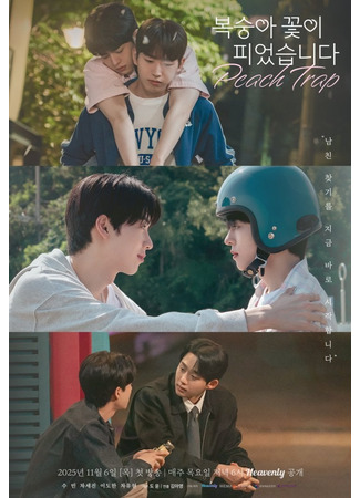 дорама Персиковая ловушка (Peach Trap: Boksunga Kkochi Pieossseubnida) 26.10.25