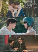 Персиковая ловушка