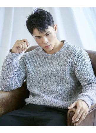 Актер Ван Чжэнь Вэй 09.11.25