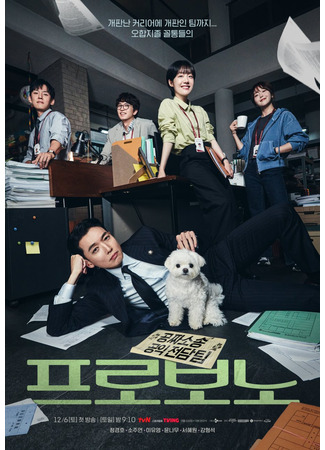 дорама Pro Bono 13.11.25