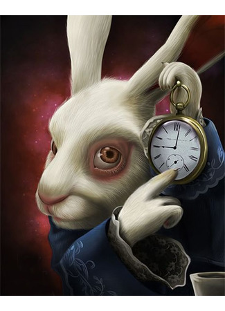 Переводчик The White rabbit 11.12.25