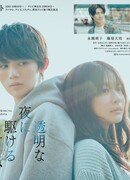 Любовь под ясным ночным небом