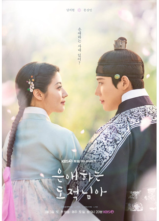 дорама Мой любимый вор (Dear Bandit: Eunaehaneun Dojeoknima) 14.12.25