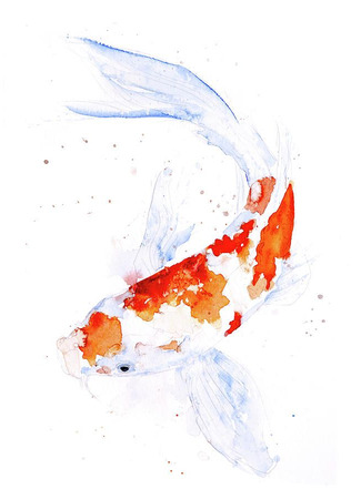 Переводчик FSG Golden Koi 16.12.25